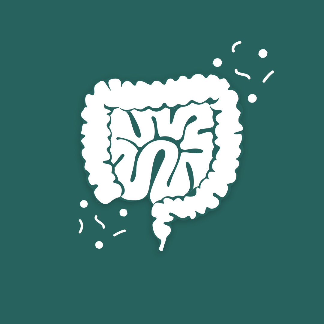 SIBO y Enfermedades Gastrointestinales